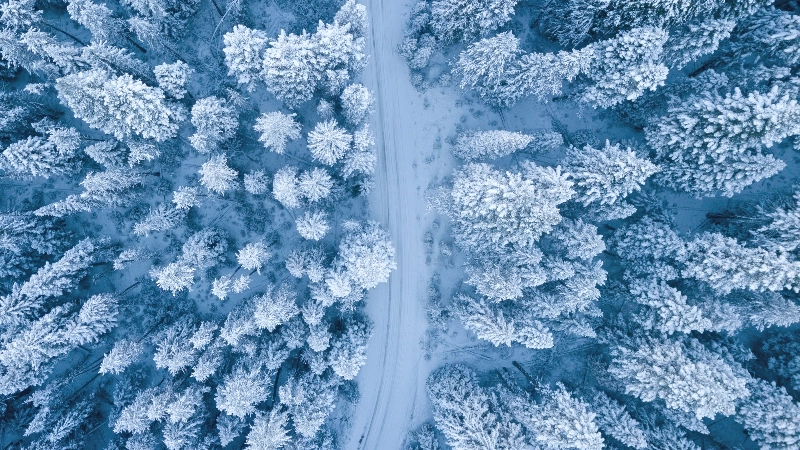 Finland Quiz Finland Quiz